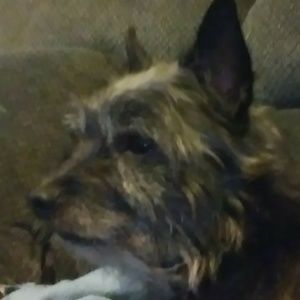 Meet your Posher, Eddie